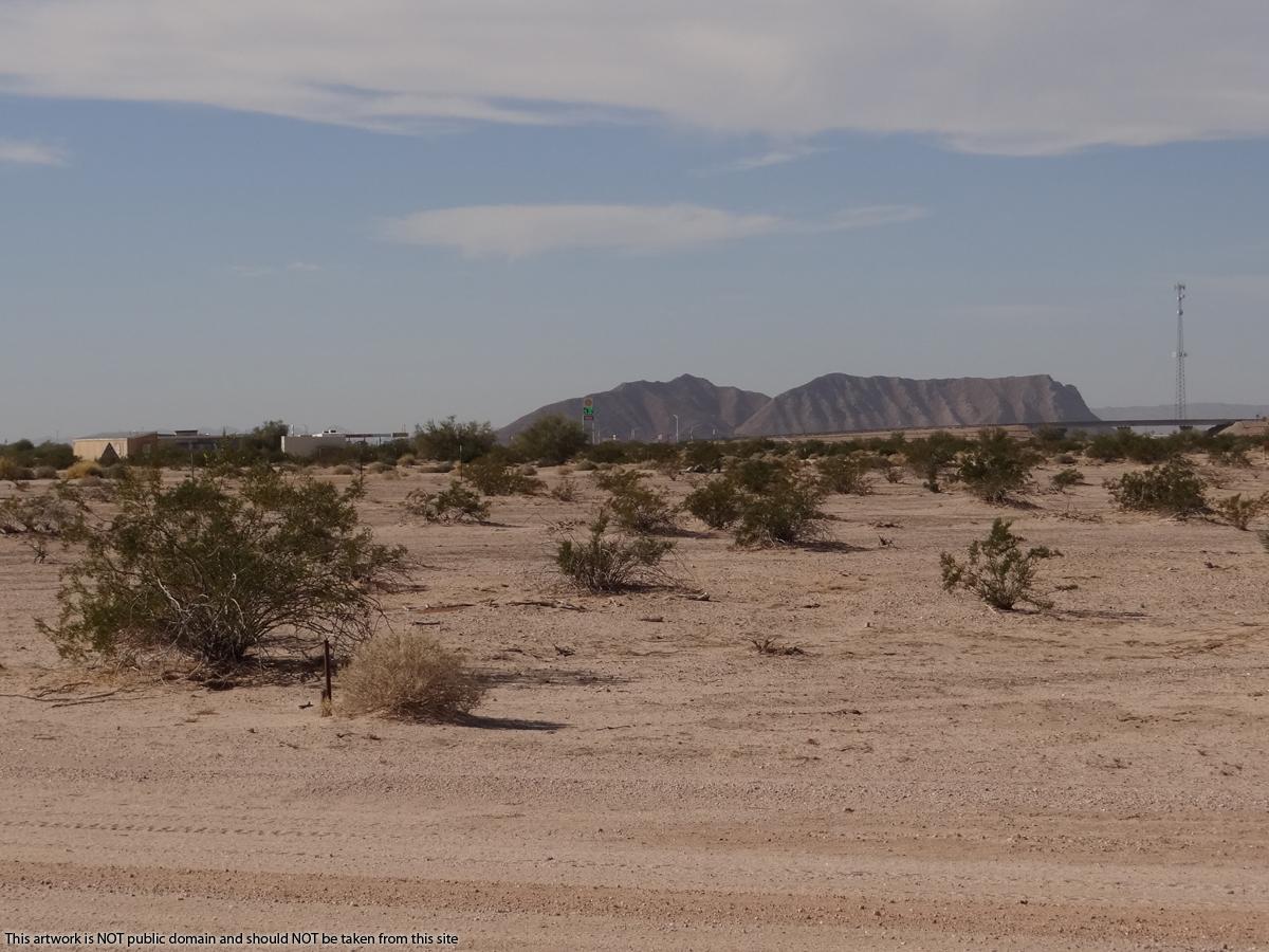 0.25 acres land for sale in Tacna, AZ